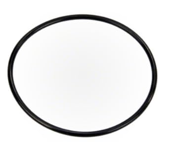 Diffuser O-Ring for WhisperFlo Pump