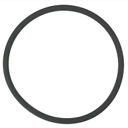 Pentair Rainbow 3" Cap O-Ring