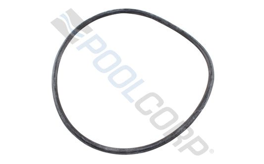 Hayward Leaf Canister O-Ring