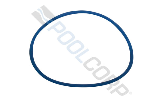 Abyss Debris Canister O-Ring