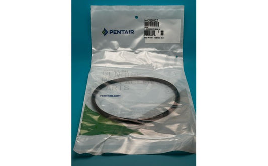 Cover O-Ring for Challenger & WhisperFlo Pumps