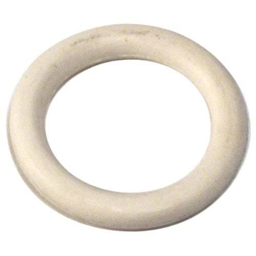 Pentair 192115Z WhisperFlo/SuperFlo Drain Plug O-Ring